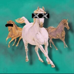 Wild horses - The gallops