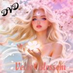 Velvet blossom relaxation compilation DVD