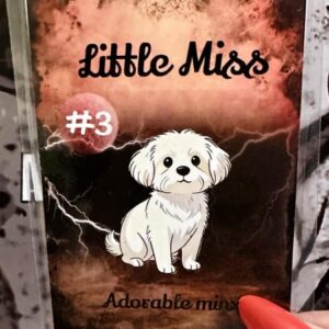 Riley Apocalyptic Card Collection - Little Miss #3
