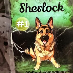 Riley Apocalyptic Card Collection - Sherlock #1